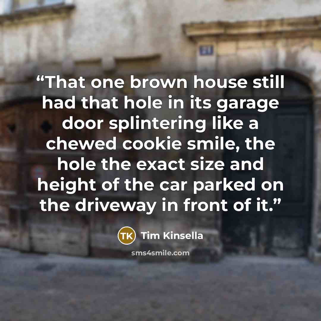 “That one brown house still had that hole in its garage door splintering like a chewed cookie smile, the hole the exact size and height of the car parked on the driveway in front of it.” quote by Tim Kinsella