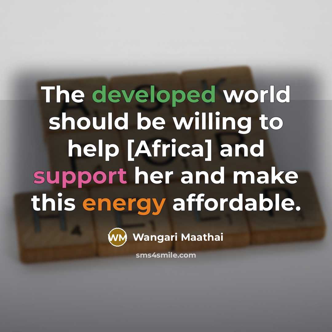 “The developed world should be willing to help [Africa] and support her and make this energy affordable.” quote by Wangari Maathai