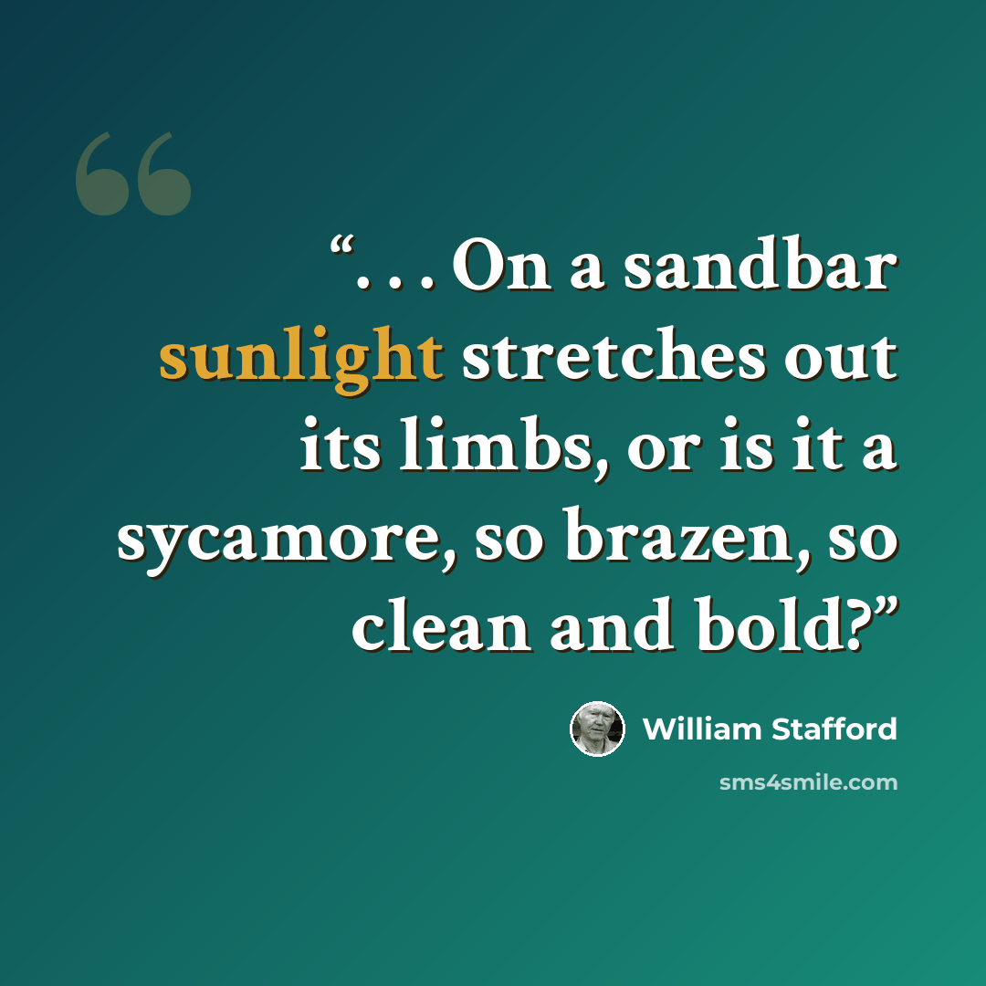 “. . . On a sandbar sunlight stretches out its limbs, or is it a sycamore, so brazen, so clean and bold?” quote by William Stafford