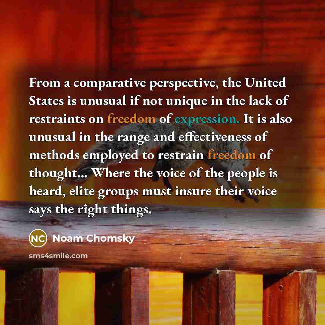“From a comparative perspective, the United States is unusual if not unique in the lack of restraints on freedom of expression. It is also unusual in the range and effectiveness of methods employed to restrain freedom of thought... Where the voice of the people is heard, elite groups must insure…” quote by Noam Chomsky