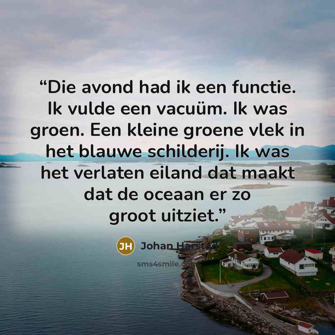 “Die avond had ik een functie. Ik vulde een vacuüm. Ik was groen. Een kleine groene vlek in het blauwe schilderij. Ik was het verlaten eiland dat maakt dat de oceaan er zo groot uitziet.” quote by Johan Harstad
