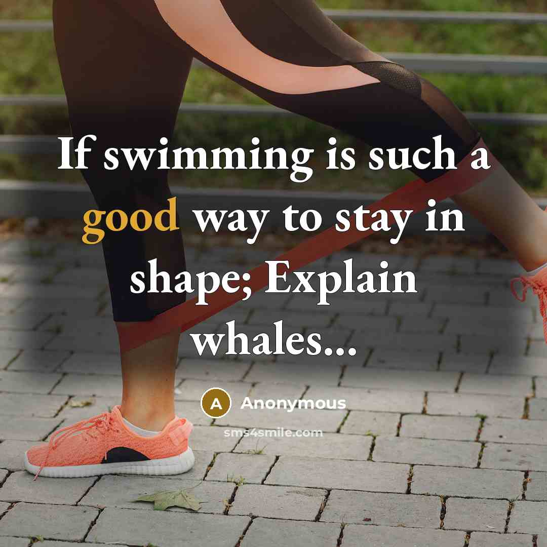 “If swimming is such a good way to stay in shape; Explain whales...” quote by Anonymous