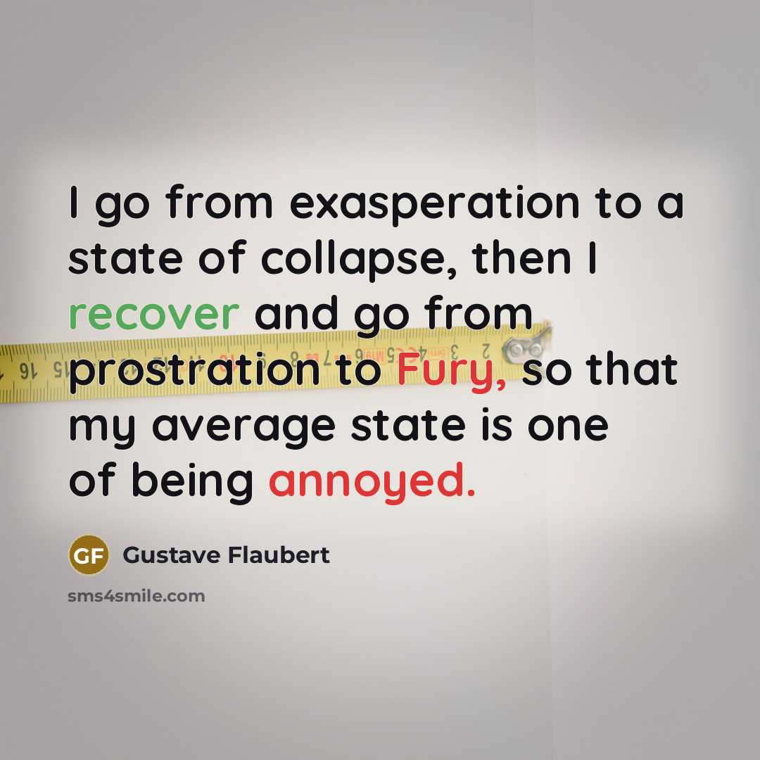 “I go from exasperation to a state of collapse, then I recover and go from prostration to Fury, so that my average state is one of being annoyed.” quote by Gustave Flaubert