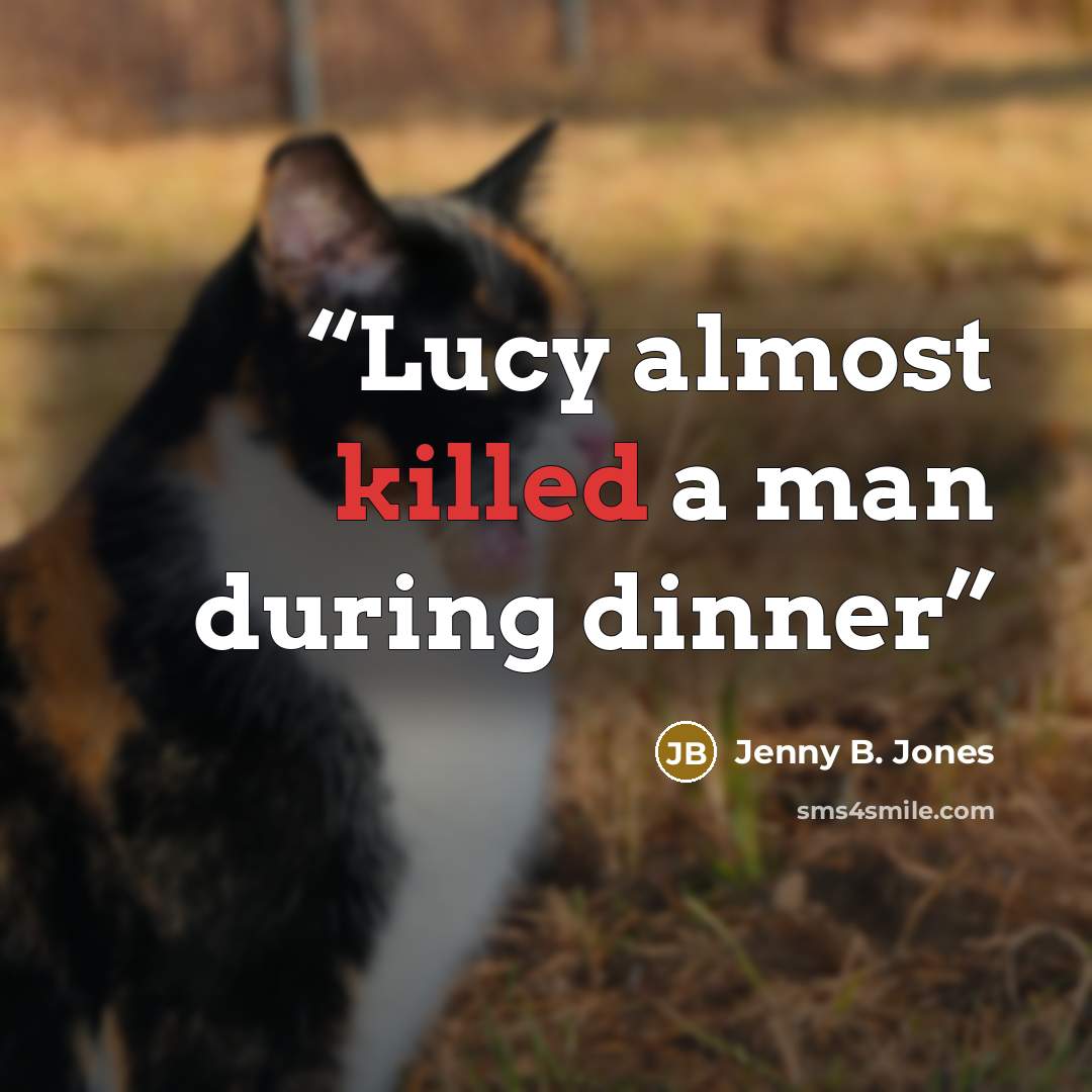 “Lucy almost killed a man during dinner” quote by Jenny B. Jones