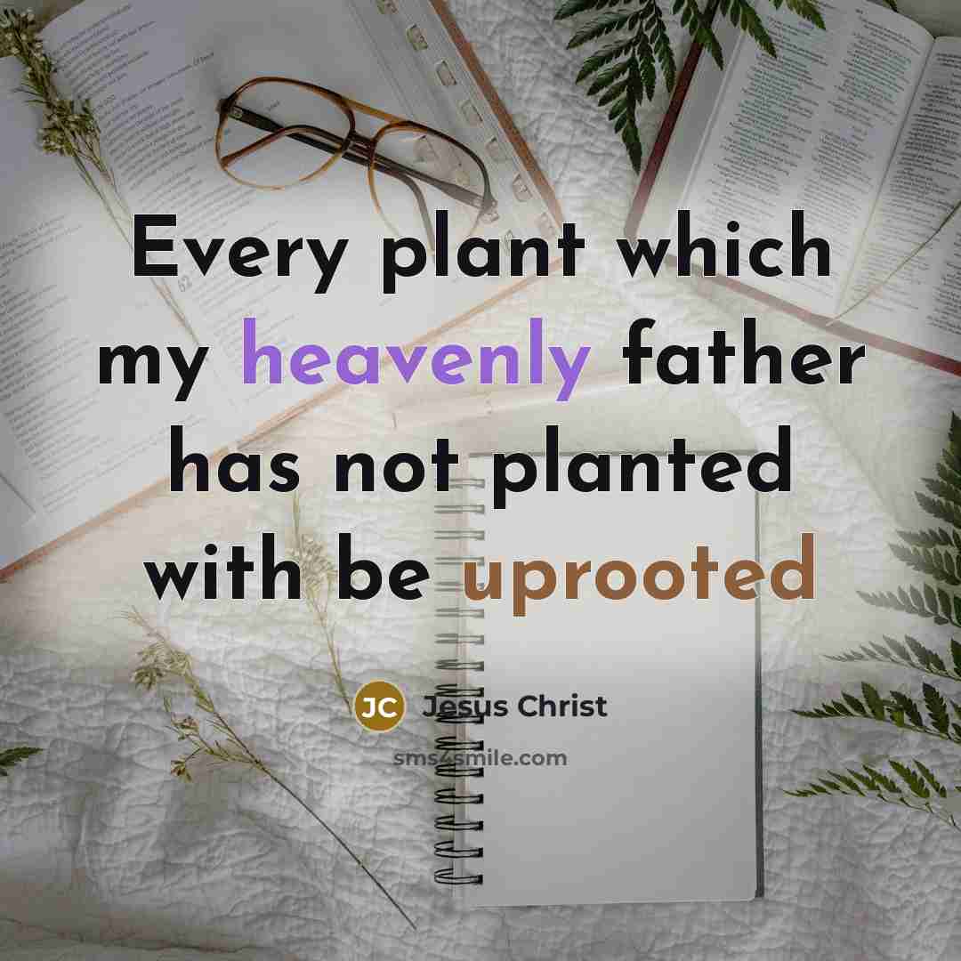 “Every plant which my heavenly father has not planted with be uprooted” quote by Jesus Christ