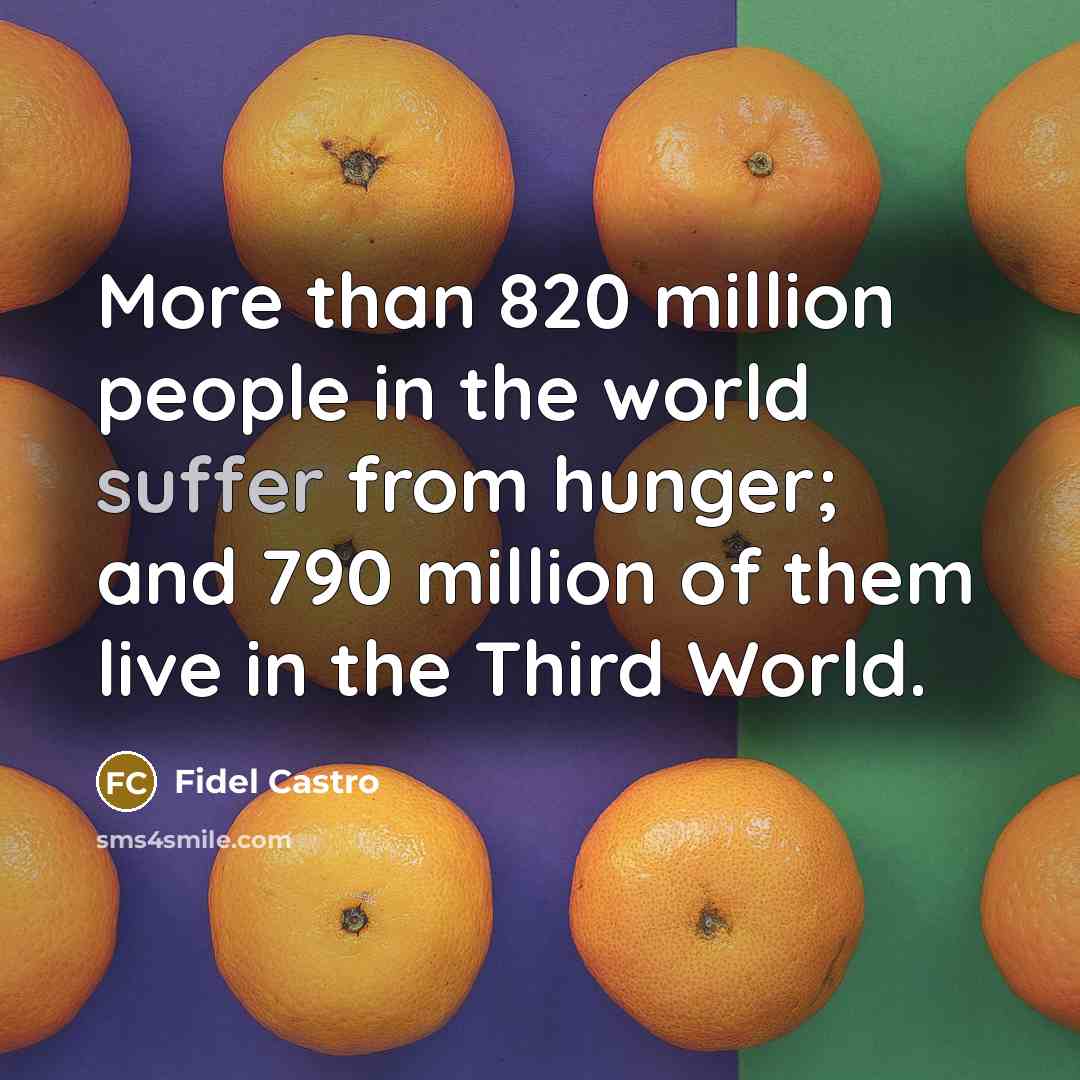 “More than 820 million people in the world suffer from hunger; and 790 million of them live in the Third World.” quote by Fidel Castro