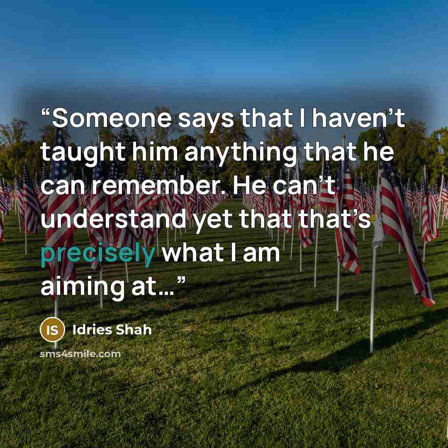 “Someone says that I haven’t taught him anything that he can remember. He can’t understand yet that that’s precisely what I am aiming at…” quote by Idries Shah