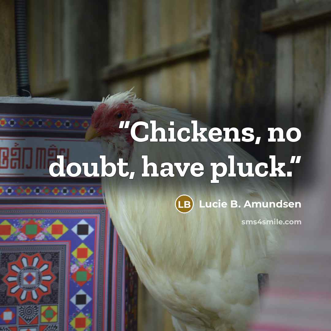 “Chickens, no doubt, have pluck.” quote by Lucie B. Amundsen