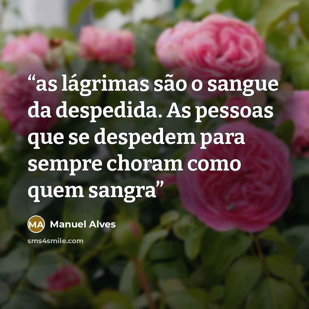 “as lágrimas são o sangue da despedida. As pessoas que se despedem para sempre choram como quem sangra” quote by Manuel Alves