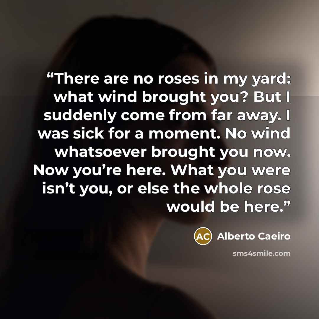 “There are no roses in my yard: what wind brought you? But I suddenly come from far away. I was sick for a moment. No wind whatsoever brought you now. Now you’re here. What you were isn’t you, or else the whole rose would be here.” quote by Alberto Caeiro