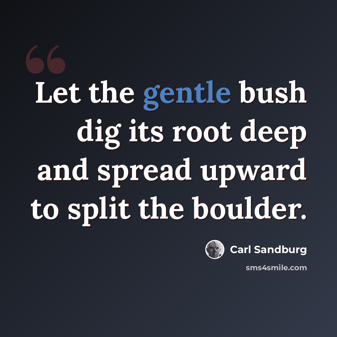 “Let the gentle bush dig its root deep and spread upward to split the boulder.” quote by Carl Sandburg