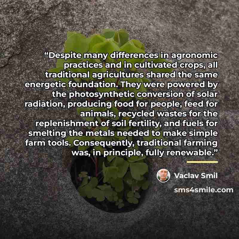 “Despite many differences in agronomic practices and in cultivated crops, all traditional agricultures shared the same energetic foundation. They were powered by the photosynthetic conversion of solar radiation, producing food for people, feed for animals, recycled wastes for the replenishment of…” quote by Vaclav Smil