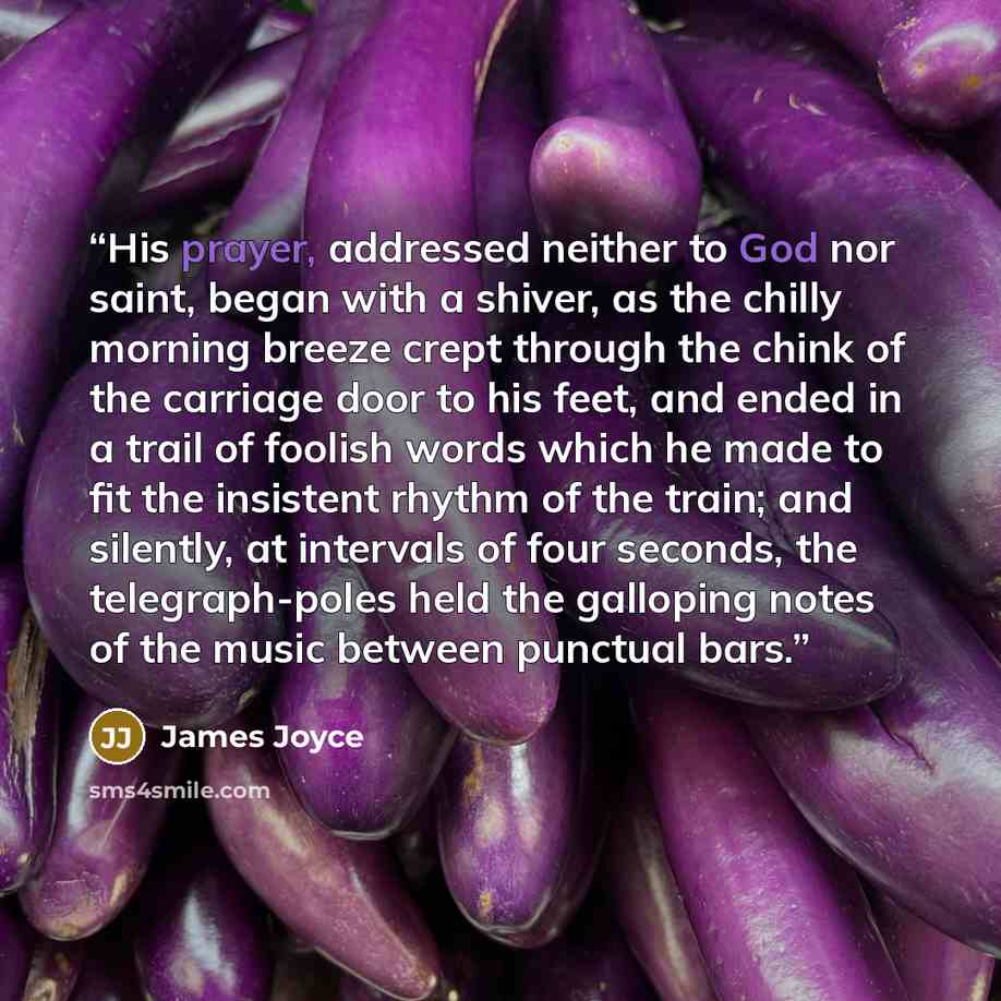 “His prayer, addressed neither to God nor saint, began with a shiver, as the chilly morning breeze crept through the chink of the carriage door to his feet, and ended in a trail of foolish words which he made to fit the insistent rhythm of the train; and silently, at intervals of four seconds, the…” quote by James Joyce