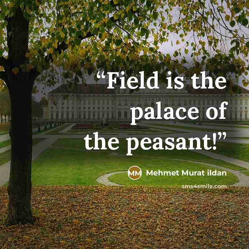 “Field is the palace of the peasant!” quote by Mehmet Murat ildan