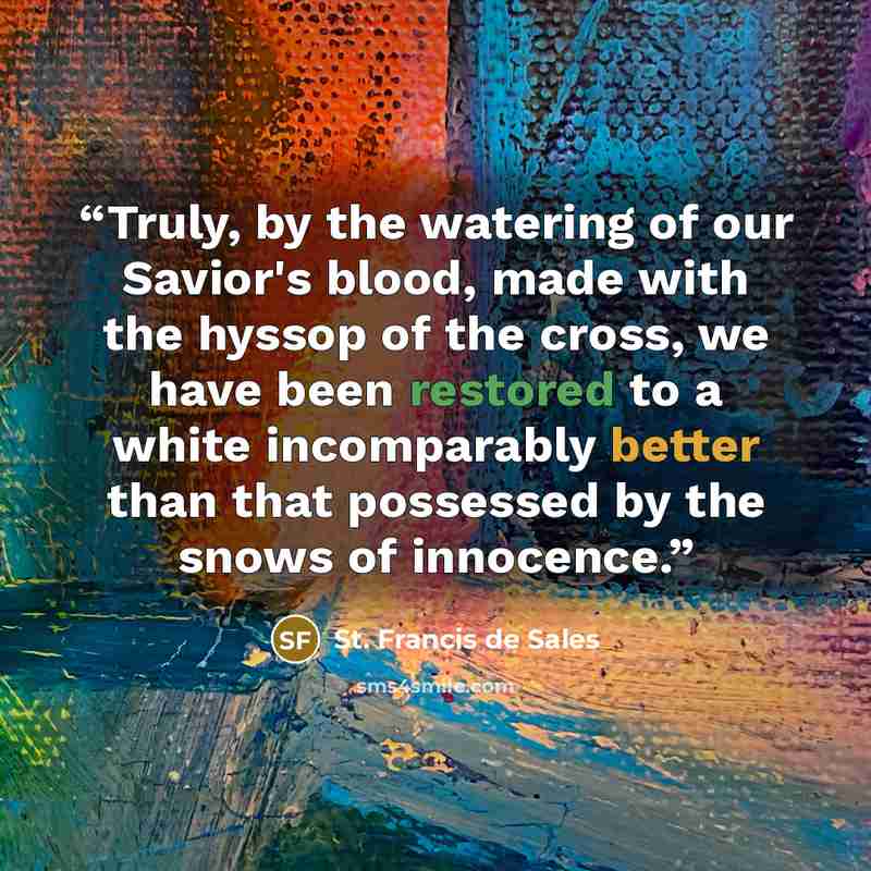 “Truly, by the watering of our Savior's blood, made with the hyssop of the cross, we have been restored to a white incomparably better than that possessed by the snows of innocence.” quote by St. Francis de Sales