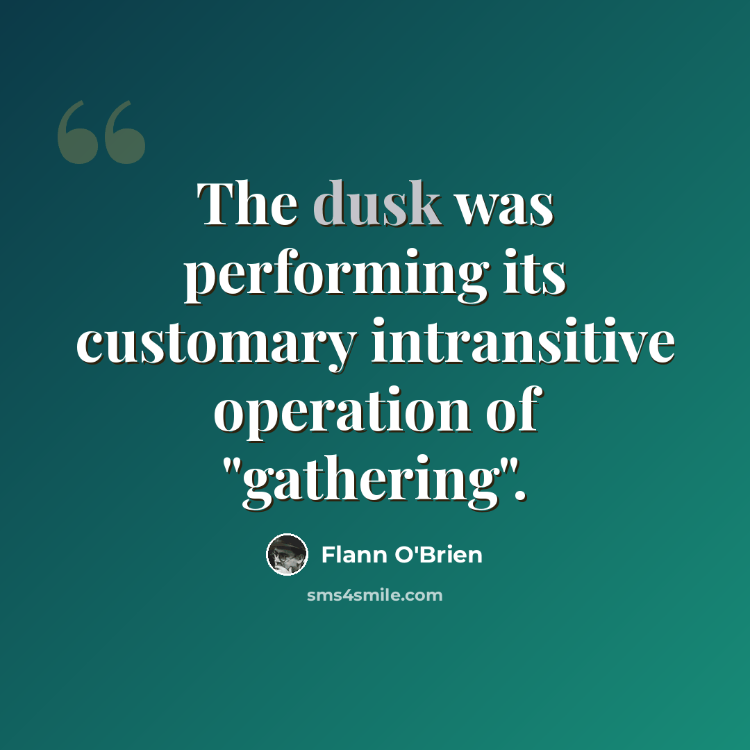 “The dusk was performing its customary intransitive operation of "gathering".” quote by Flann O'Brien