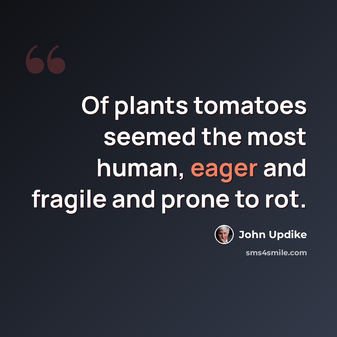 “Of plants tomatoes seemed the most human, eager and fragile and prone to rot.” quote by John Updike