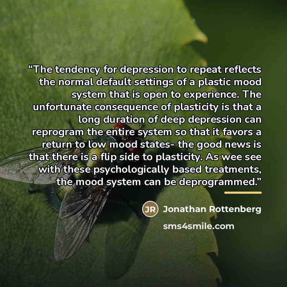“The tendency for depression to repeat reflects the normal default settings of a plastic mood system that is open to experience. The unfortunate consequence of plasticity is that a long duration of deep depression can reprogram the entire system so that it favors a return to low mood states- the…” quote by Jonathan Rottenberg
