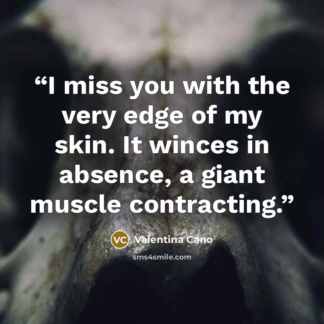 “I miss you with the very edge of my skin. It winces in absence, a giant muscle contracting.” quote by Valentina Cano