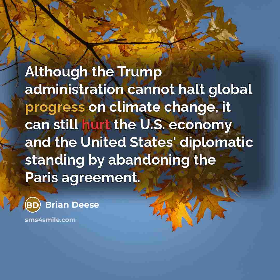 “Although the Trump administration cannot halt global progress on climate change, it can still hurt the U.S. economy and the United States' diplomatic standing by abandoning the Paris agreement.” quote by Brian Deese