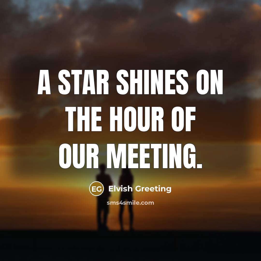 “A star shines on the hour of our meeting.” quote by Elvish Greeting