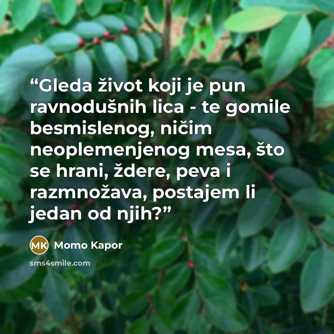 “Gleda život koji je pun ravnodušnih lica - te gomile besmislenog, ničim neoplemenjenog mesa, što se hrani, ždere, peva i razmnožava, postajem li jedan od njih?” quote by Momo Kapor