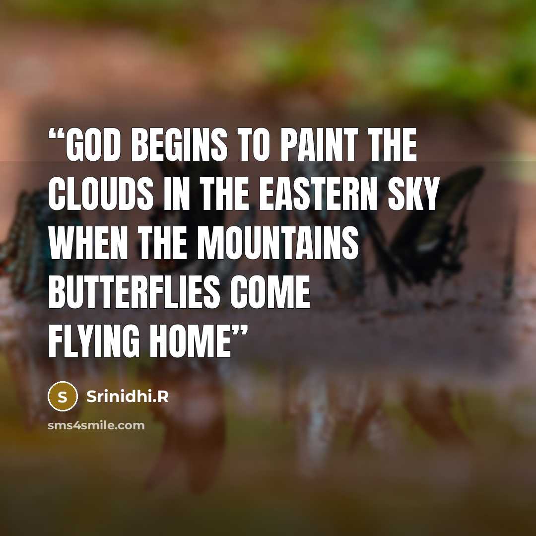 “God begins to paint the clouds in the eastern sky when the mountains butterflies come flying home” quote by Srinidhi.R