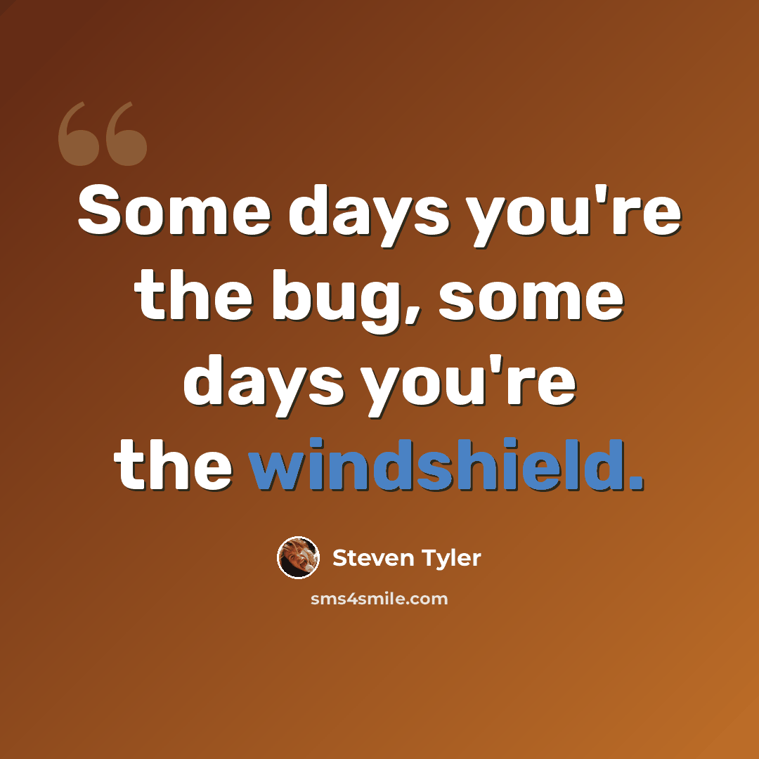 “Some days you're the bug, some days you're the windshield.” quote by Steven Tyler