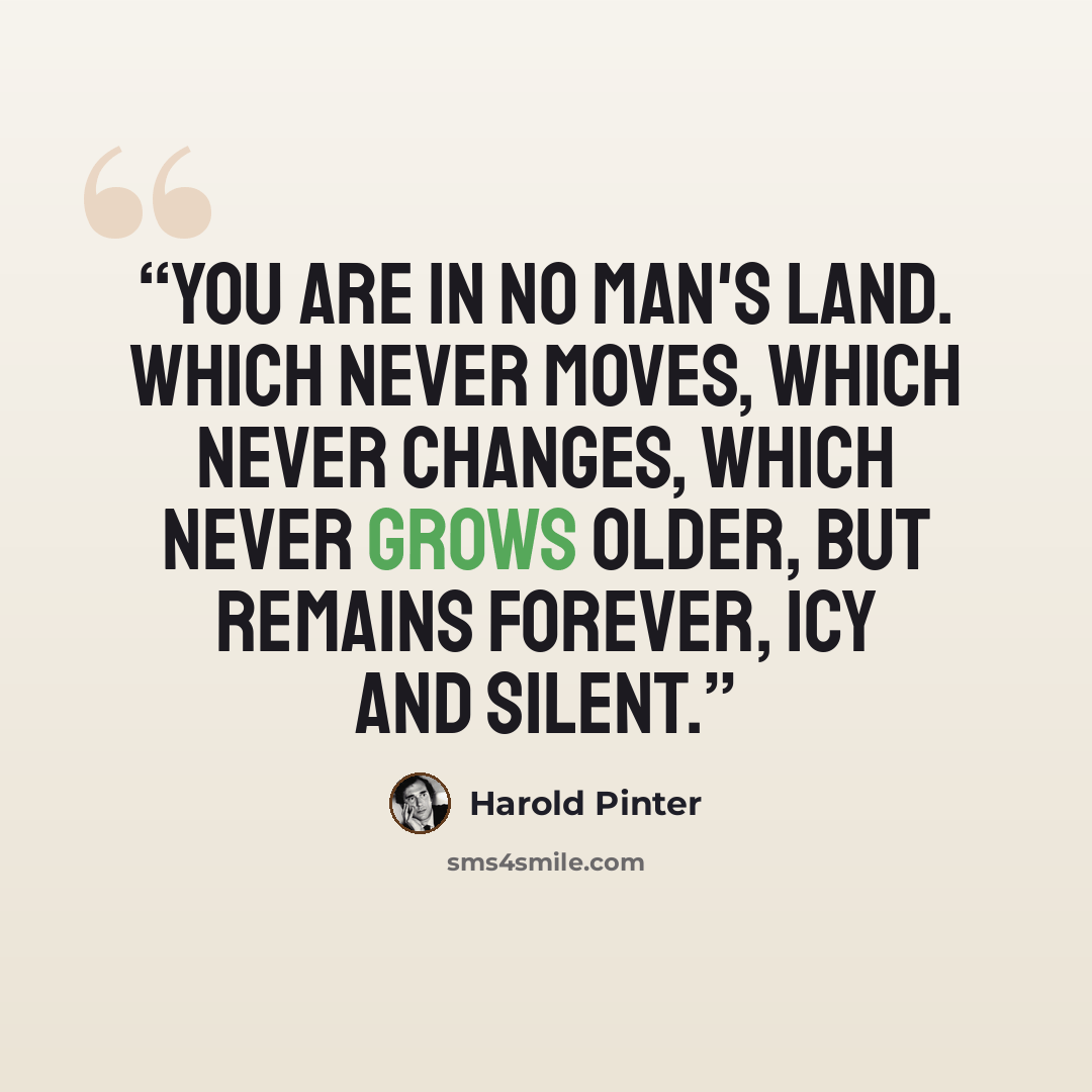 “You are in no man's land. Which never moves, which never changes, which never grows older, but remains forever, icy and silent.” quote by Harold Pinter