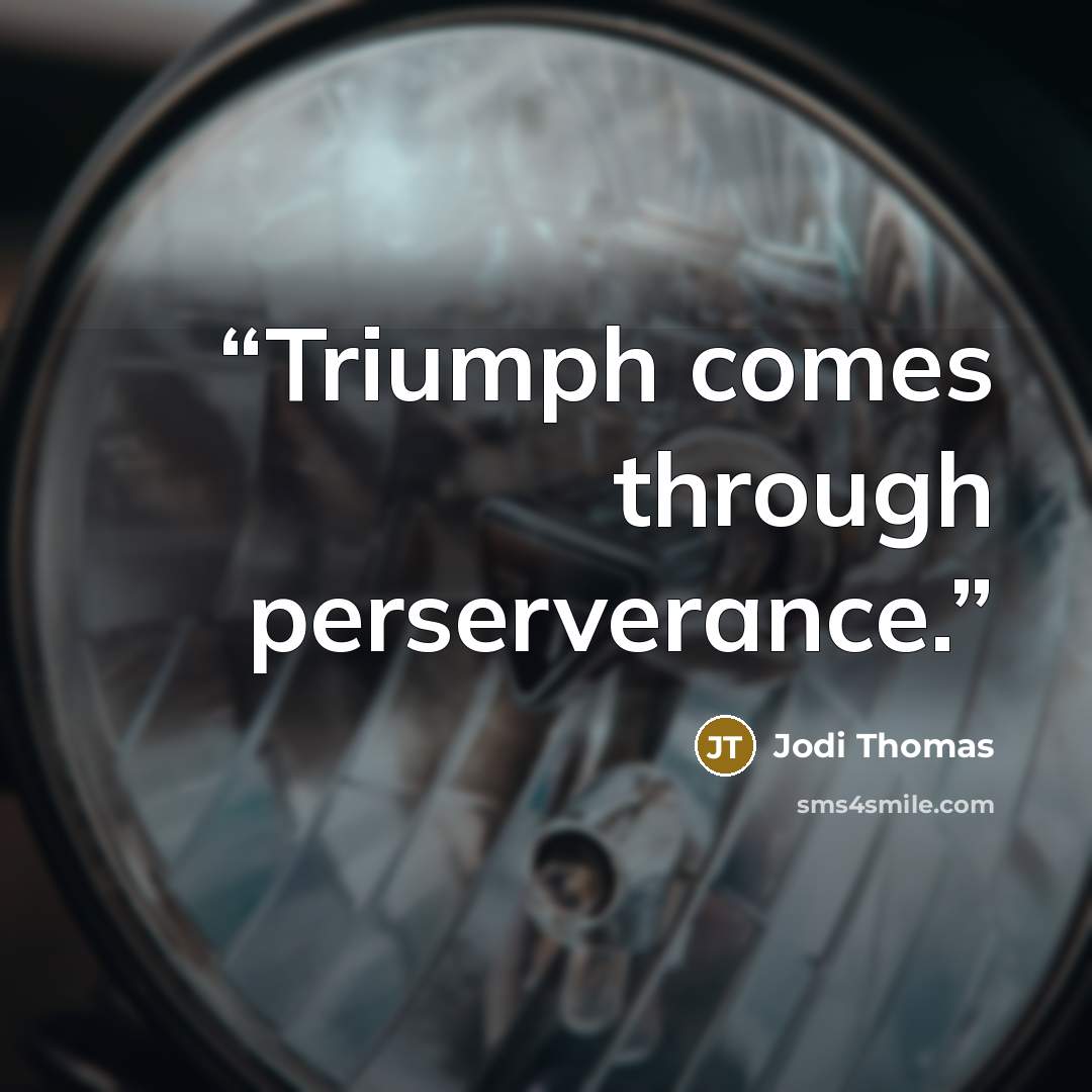 “Triumph comes through perserverance.” quote by Jodi Thomas