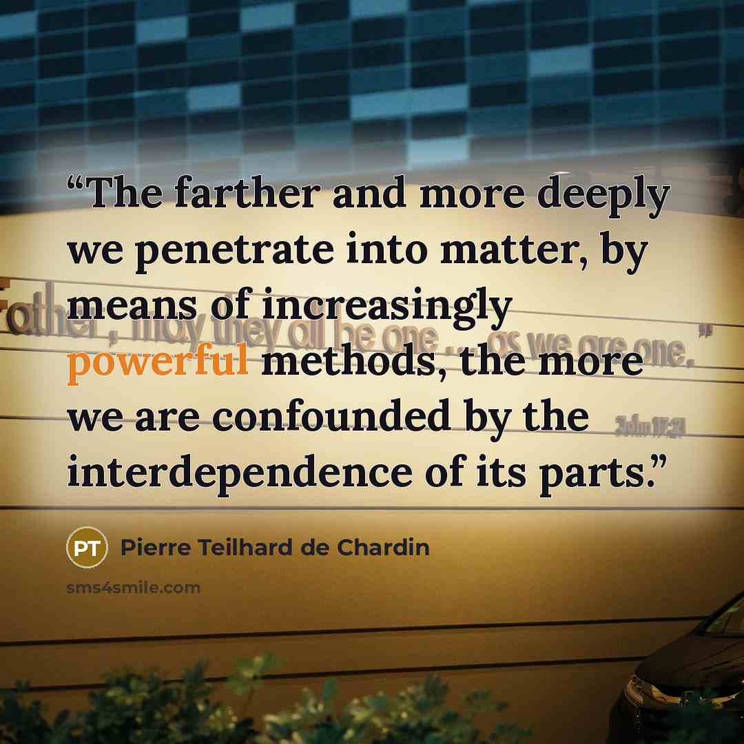 “The farther and more deeply we penetrate into matter, by means of increasingly powerful methods, the more we are confounded by the interdependence of its parts.” quote by Pierre Teilhard de Chardin