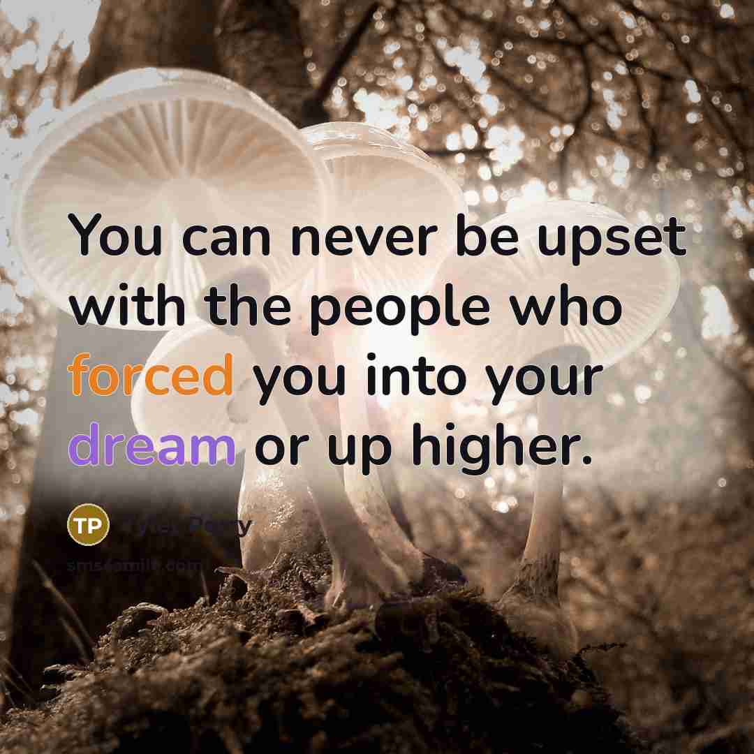 “You can never be upset with the people who forced you into your dream or up higher.” quote by Tyler Perry