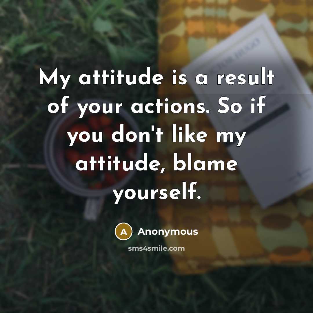 “My attitude is a result of your actions. So if you don't like my attitude, blame yourself.” quote by Anonymous