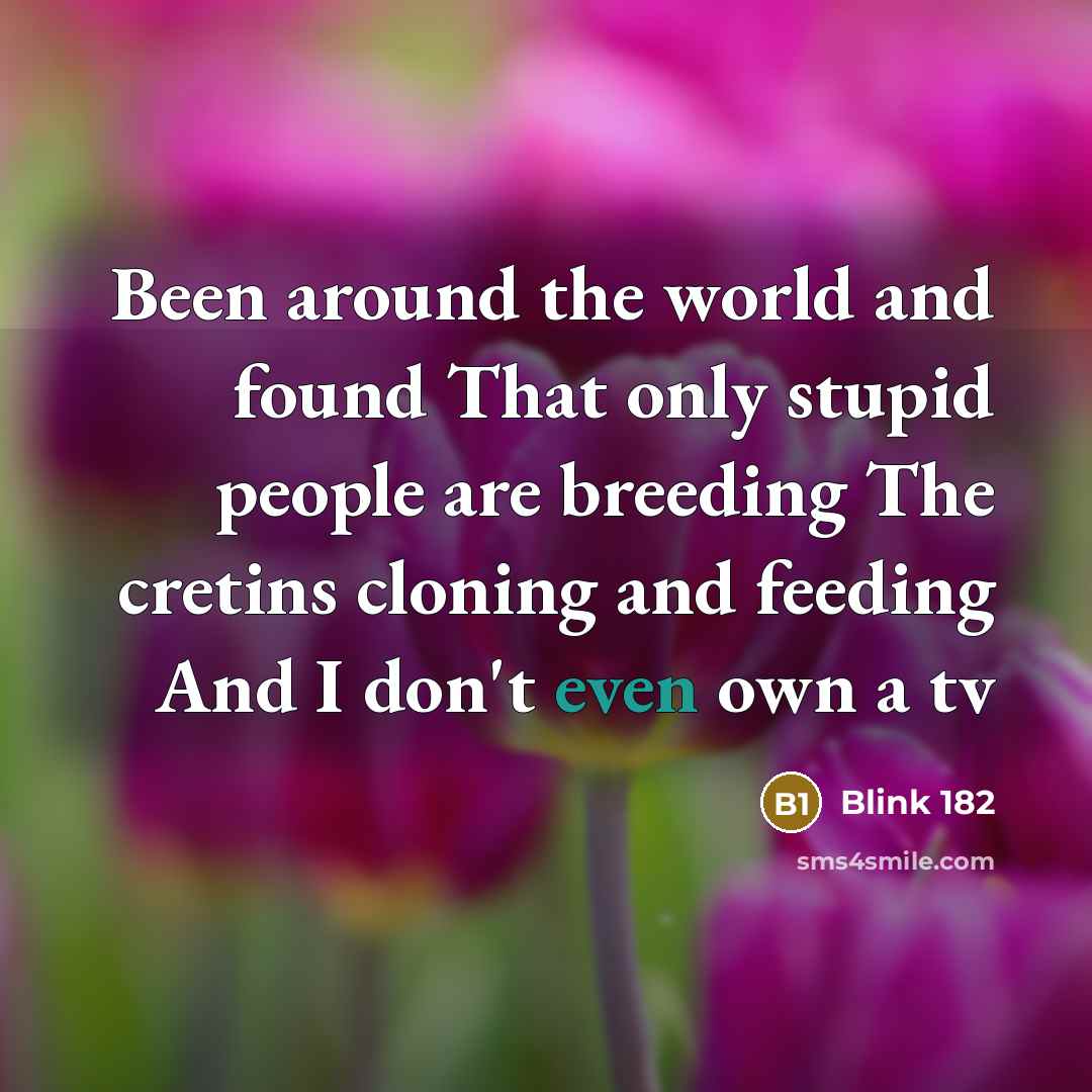“Been around the world and found That only stupid people are breeding The cretins cloning and feeding And I don't even own a tv” quote by Blink 182
