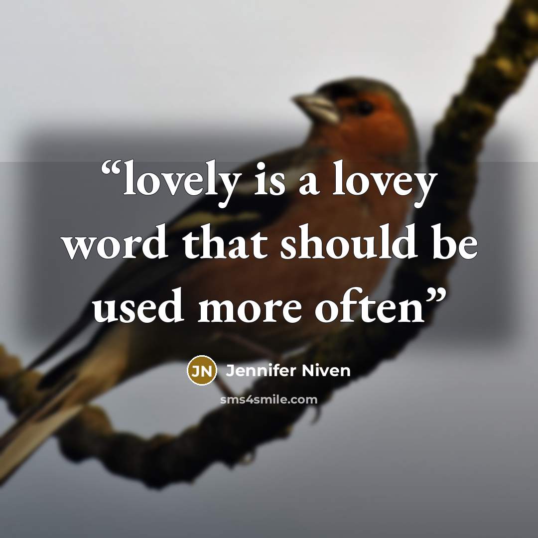 “lovely is a lovey word that should be used more often” quote by Jennifer Niven