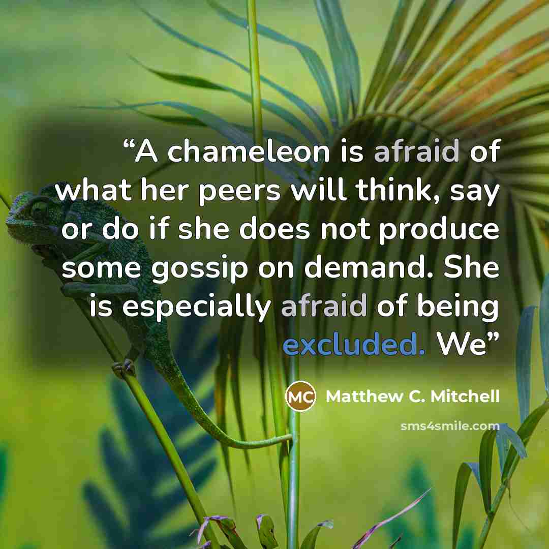 “A chameleon is afraid of what her peers will think, say or do if she does not produce some gossip on demand. She is especially afraid of being excluded. We” quote by Matthew C. Mitchell