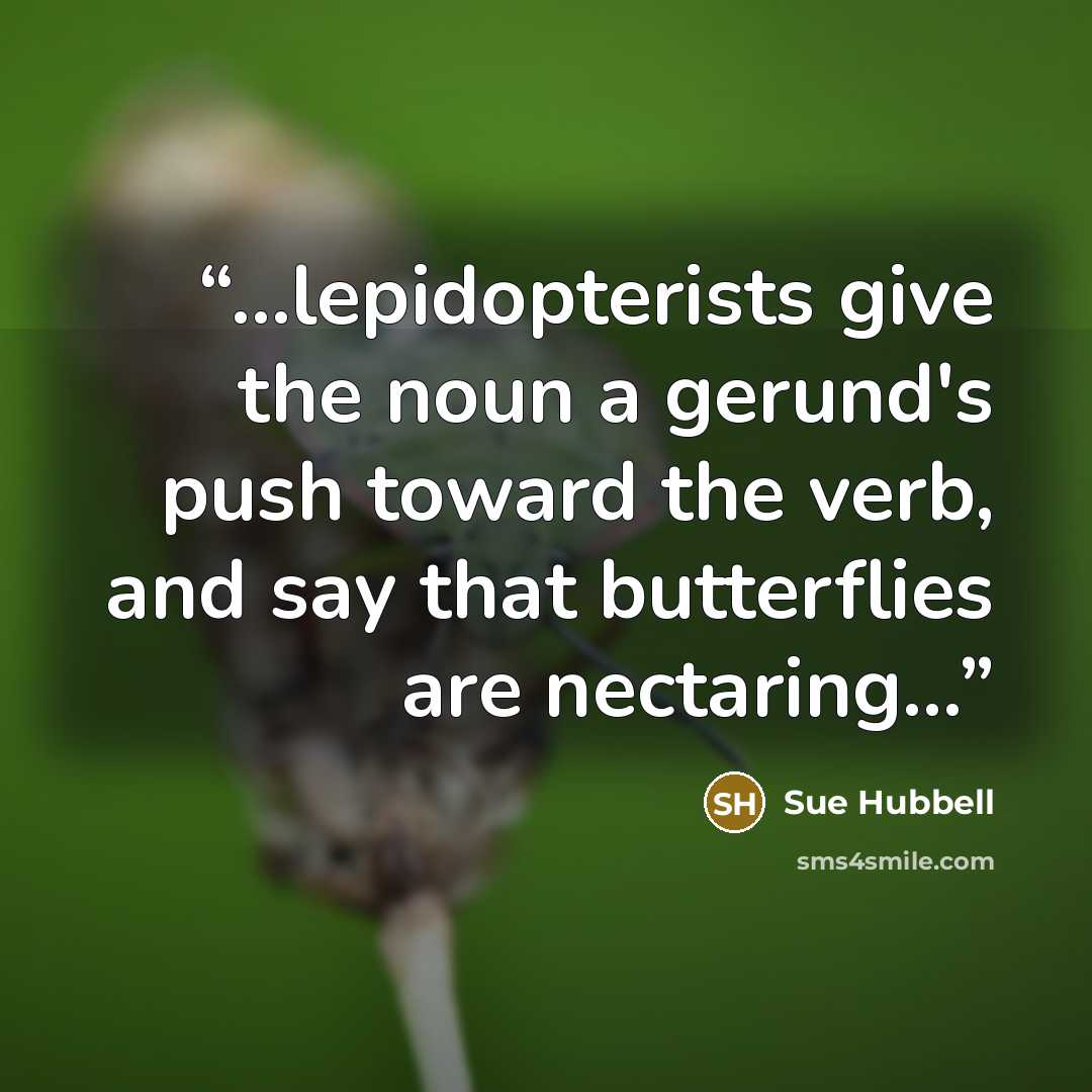 “...lepidopterists give the noun a gerund's push toward the verb, and say that butterflies are nectaring...” quote by Sue Hubbell