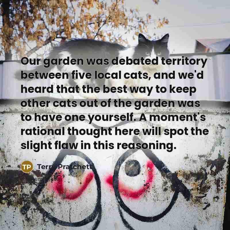 “Our garden was debated territory between five local cats, and we'd heard that the best way to keep other cats out of the garden was to have one yourself. A moment's rational thought here will spot the slight flaw in this reasoning.” quote by Terry Pratchett
