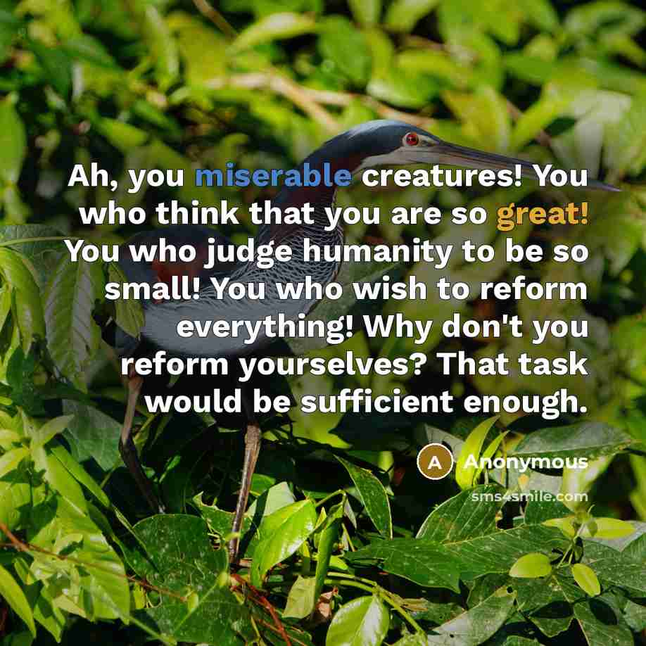 “Ah, you miserable creatures! You who think that you are so great! You who judge humanity to be so small! You who wish to reform everything! Why don't you reform yourselves? That task would be sufficient enough.” quote by Anonymous