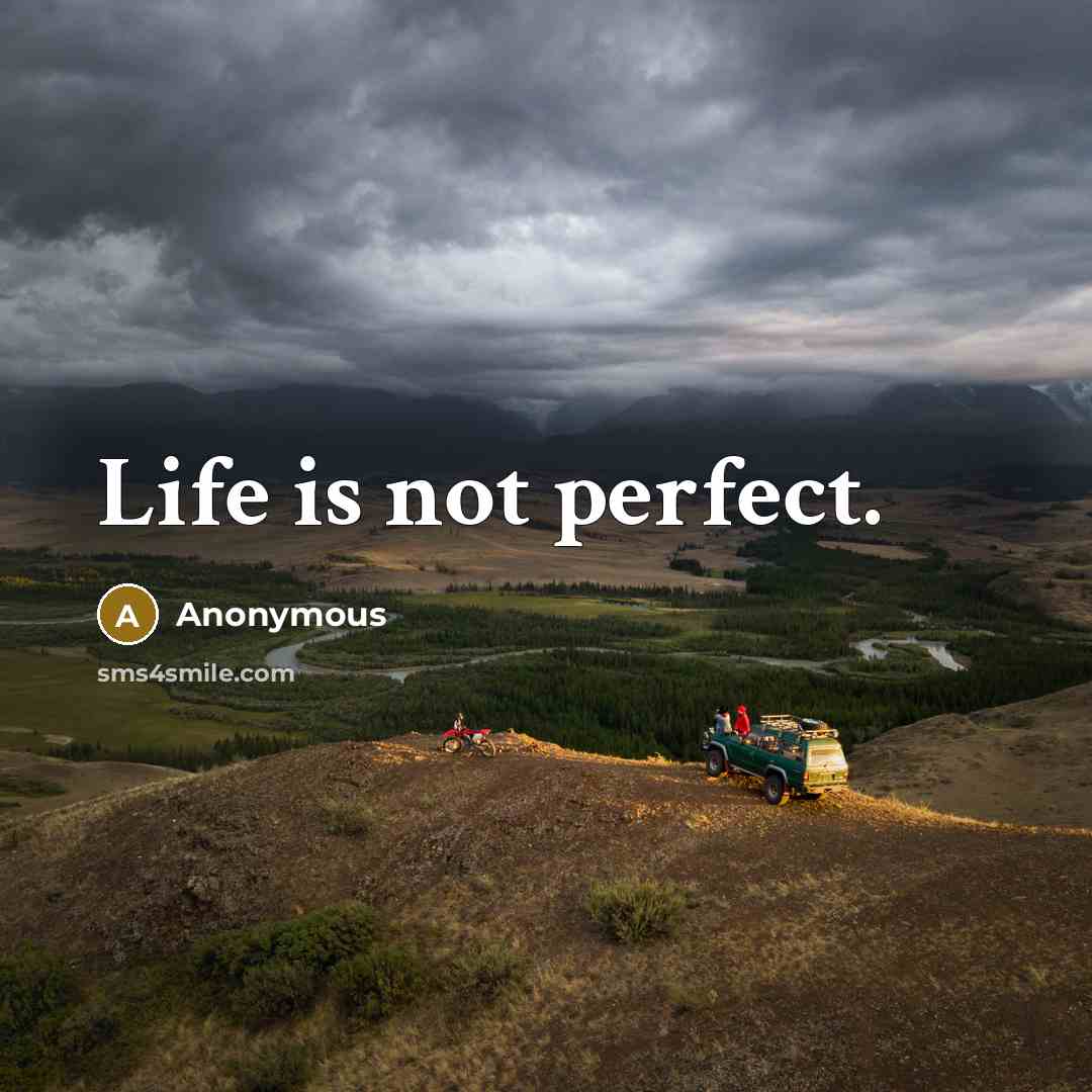 “Life is not perfect.” quote by Anonymous