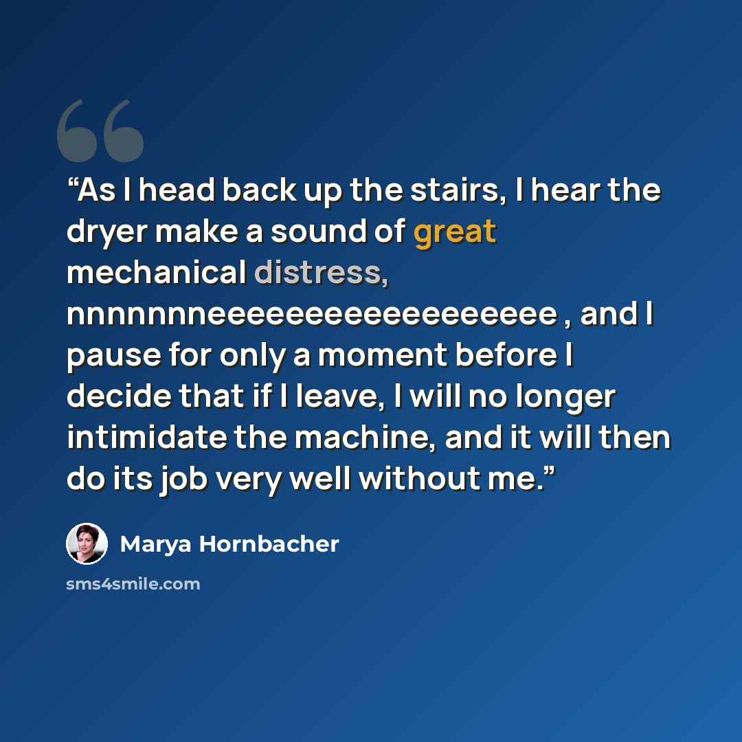 “As I head back up the stairs, I hear the dryer make a sound of great mechanical distress, nnnnnnneeeeeeeeeeeeeeeeee , and I pause for only a moment before I decide that if I leave, I will no longer intimidate the machine, and it will then do its job very well without me.” quote by Marya Hornbacher