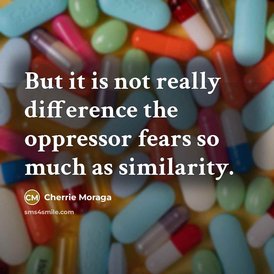 “But it is not really difference the oppressor fears so much as similarity.” quote by Cherrie Moraga
