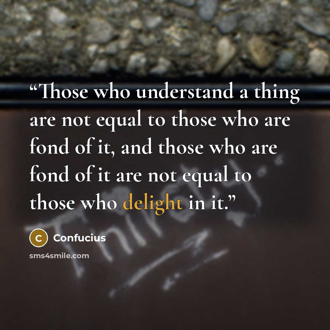 “Those who understand a thing are not equal to those who are fond of it, and those who are fond of it are not equal to those who delight in it.” quote by Confucius