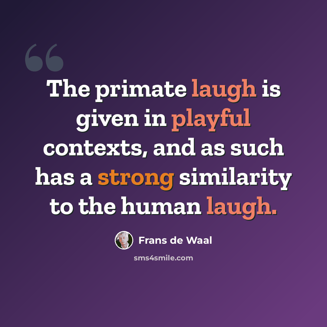 “The primate laugh is given in playful contexts, and as such has a strong similarity to the human laugh.” quote by Frans de Waal