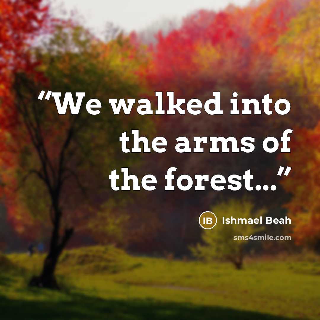“We walked into the arms of the forest...” quote by Ishmael Beah