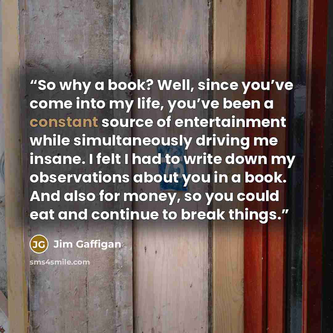“So why a book? Well, since you’ve come into my life, you’ve been a constant source of entertainment while simultaneously driving me insane. I felt I had to write down my observations about you in a book. And also for money, so you could eat and continue to break things.” quote by Jim Gaffigan