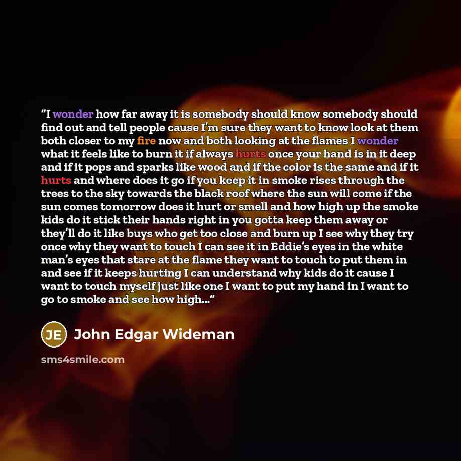 “I wonder how far away it is somebody should know somebody should find out and tell people cause I’m sure they want to know look at them both closer to my fire now and both looking at the flames I wonder what it feels like to burn it if always hurts once your hand is in it deep and if it pops and…” quote by John Edgar Wideman