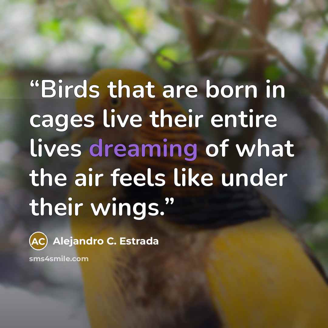 “Birds that are born in cages live their entire lives dreaming of what the air feels like under their wings.” quote by Alejandro C. Estrada