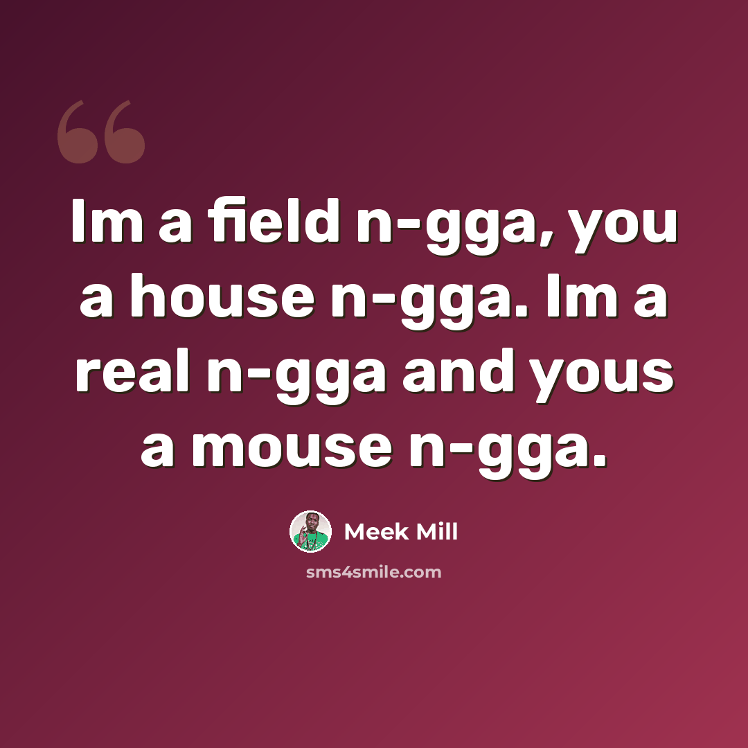 “Im a field n-gga, you a house n-gga. Im a real n-gga and yous a mouse n-gga.” quote by Meek Mill