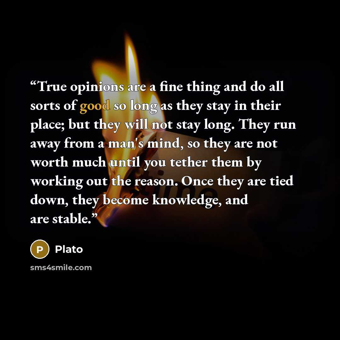 “True opinions are a fine thing and do all sorts of good so long as they stay in their place; but they will not stay long. They run away from a man's mind, so they are not worth much until you tether them by working out the reason. Once they are tied down, they become knowledge, and are stable.” quote by Plato